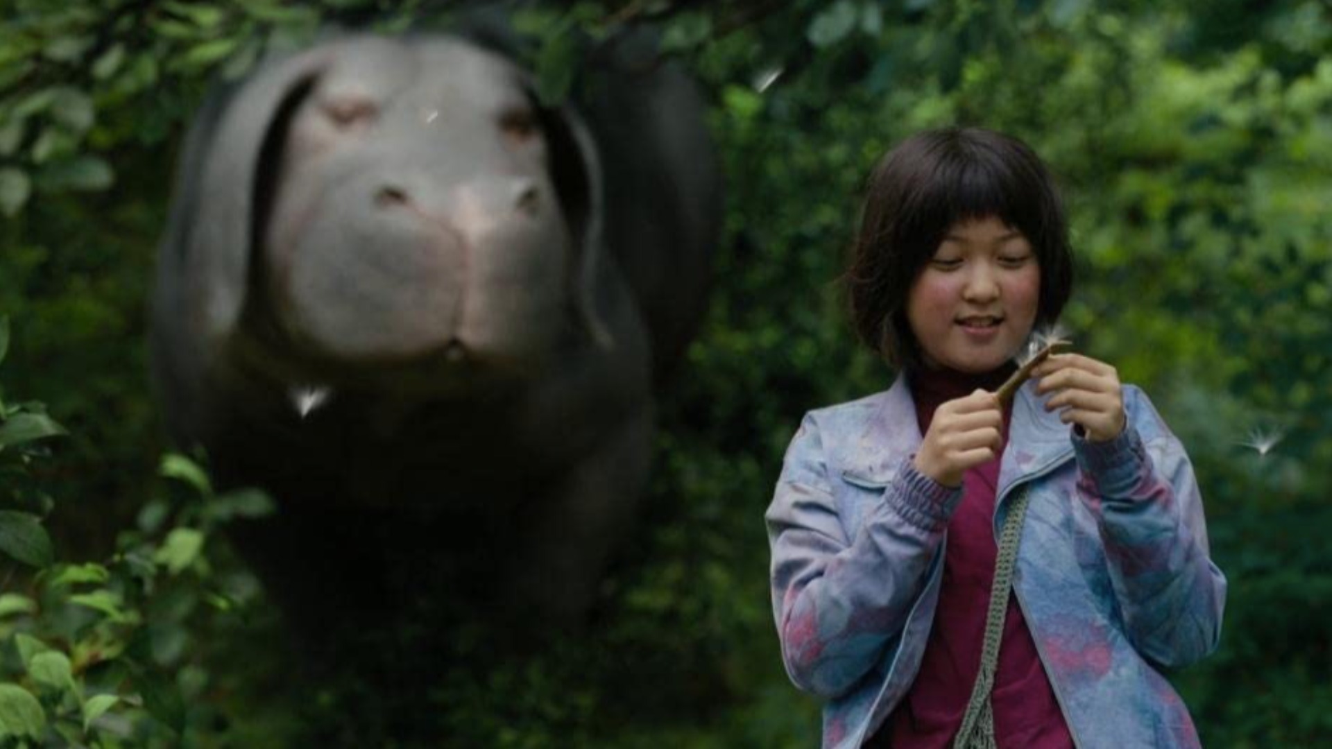 Ahn Seo-hyun as Mija holding a flower with Okja approaching her in the background during the Netflix movie, Okja.