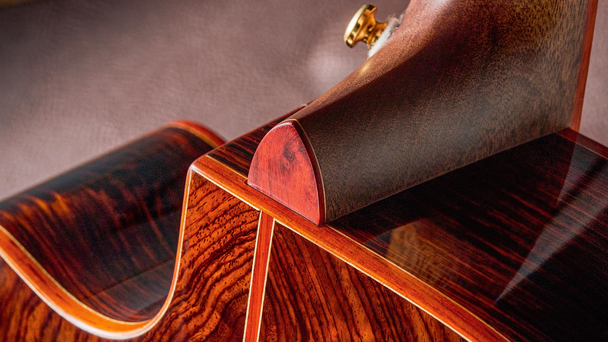 Cort Gold A-10 Cocobolo