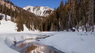 Thick snow in Granite Canyon, Grand Teton National Park, USA