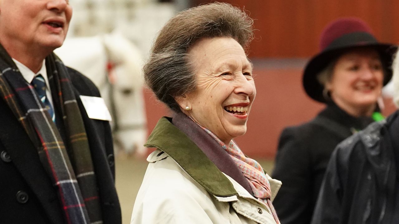 Princess Anne, The Princess Royal and Vice Patron of the British Horse Society during a visit to Wormwood Scrubs Pony Centre on February 8, 2024 