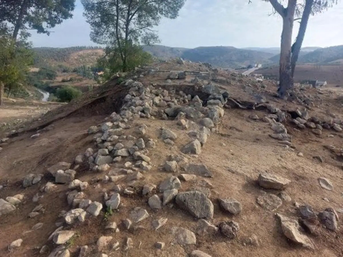 A row of rocks making a wall on a hill.
