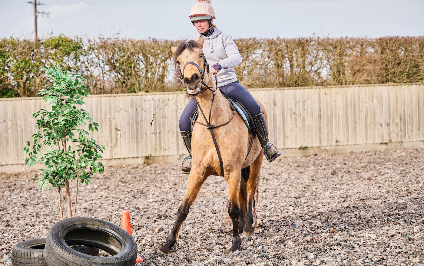 Understanding how horses learn: training a horse to get used to a hazard.