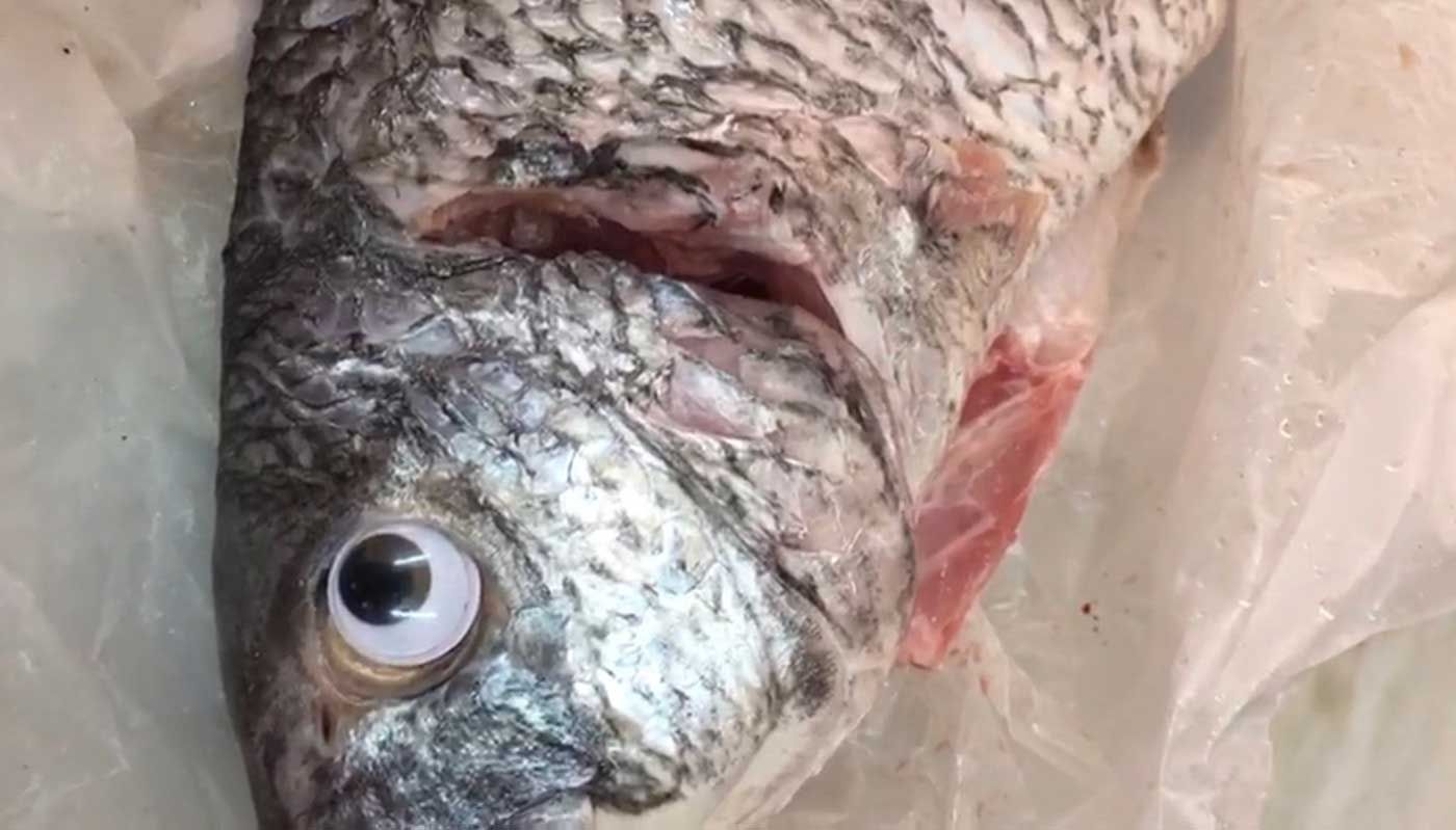 Red-faced man tells nurse he ‘accidentally sat on a fish’