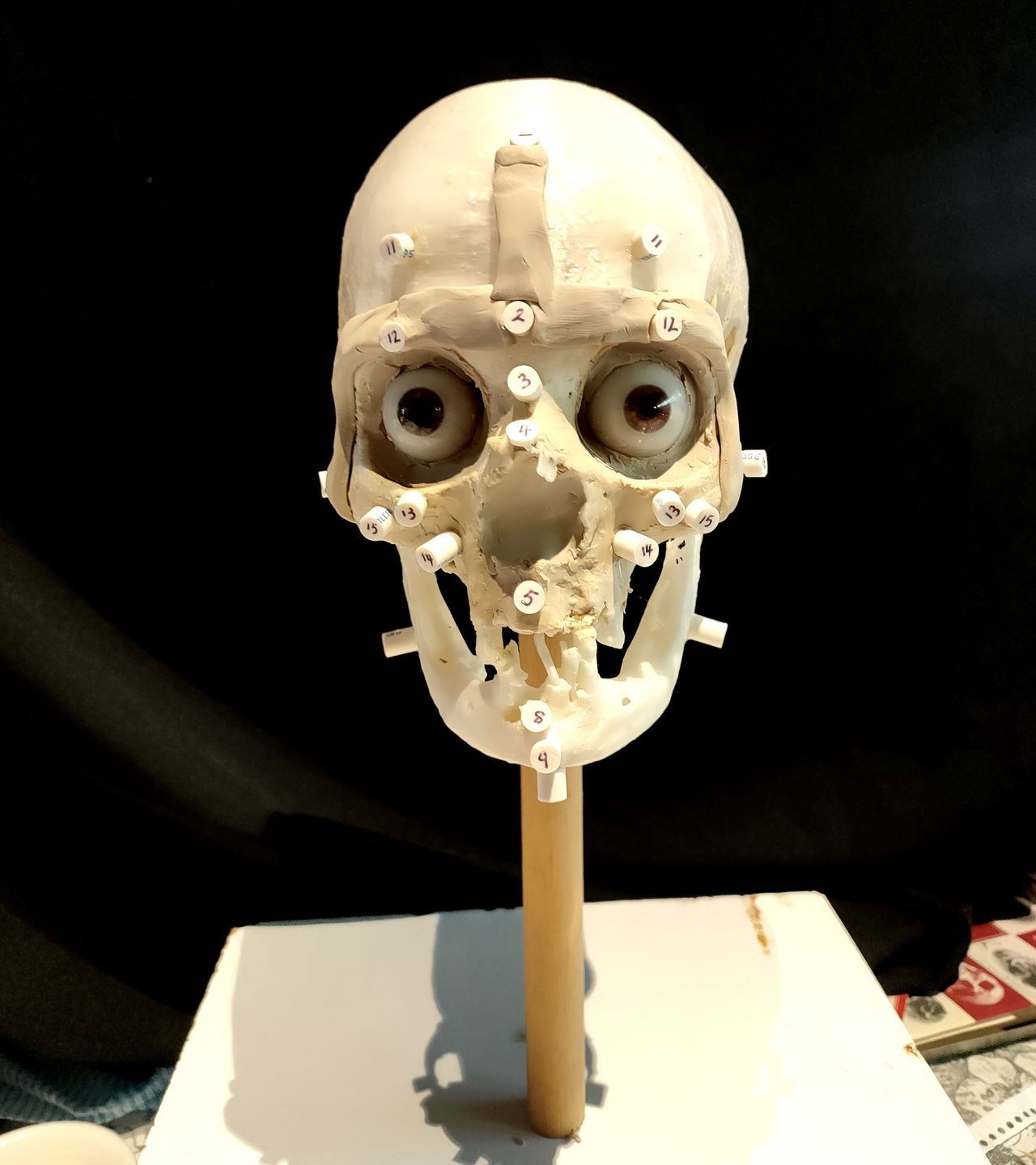 Facial reconstruction of a female mummy.
