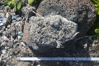 image of plastiglomerate rock material on hawaii's kamilo beach.