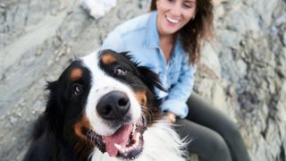 Dog looking happy next to owner