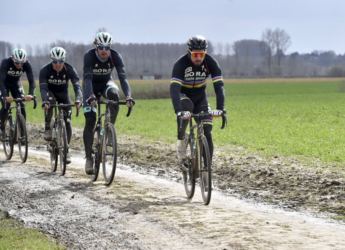 Peter Sagan leads his teammates