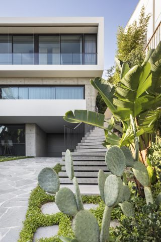 Modern home with stone driveway and cactus garden