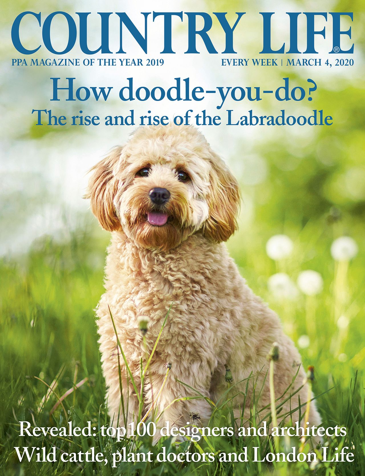 Country Life 4 March 2020