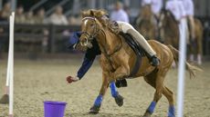 Pony Club 90