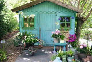 spring garden jobs: shed