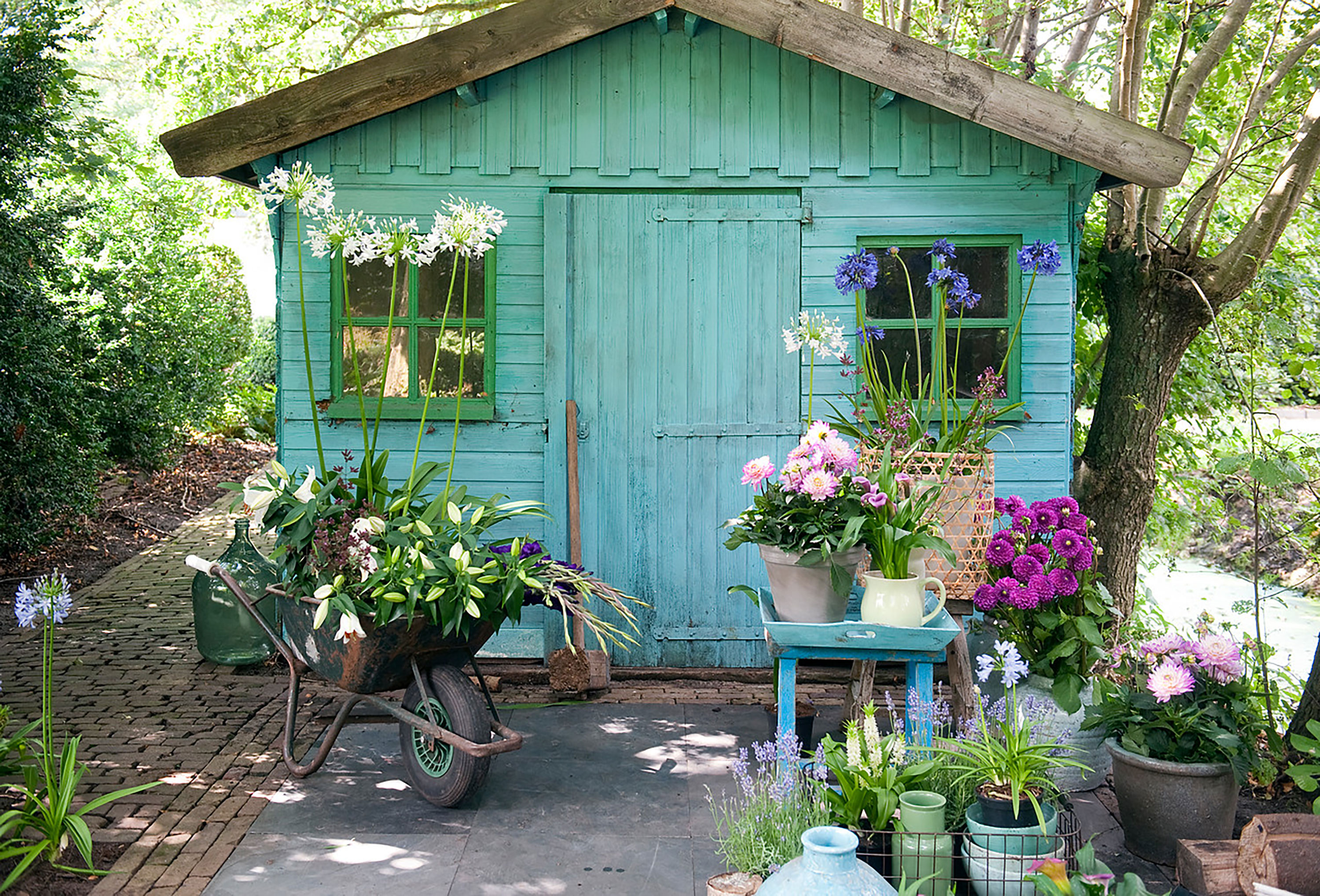 spring garden jobs: shed