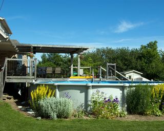 above ground pool with plants