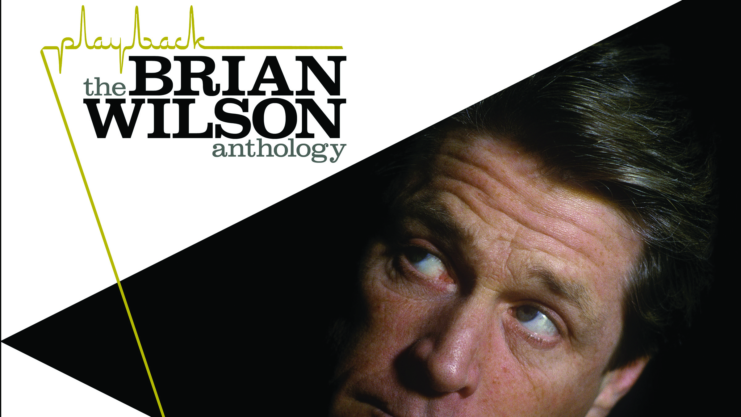 Cover art for Brian Wilson - Playback: The Brian Wilson Anthology album