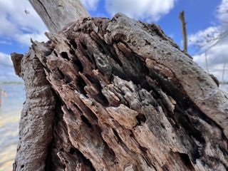 iPhone 13 Pro Max macro