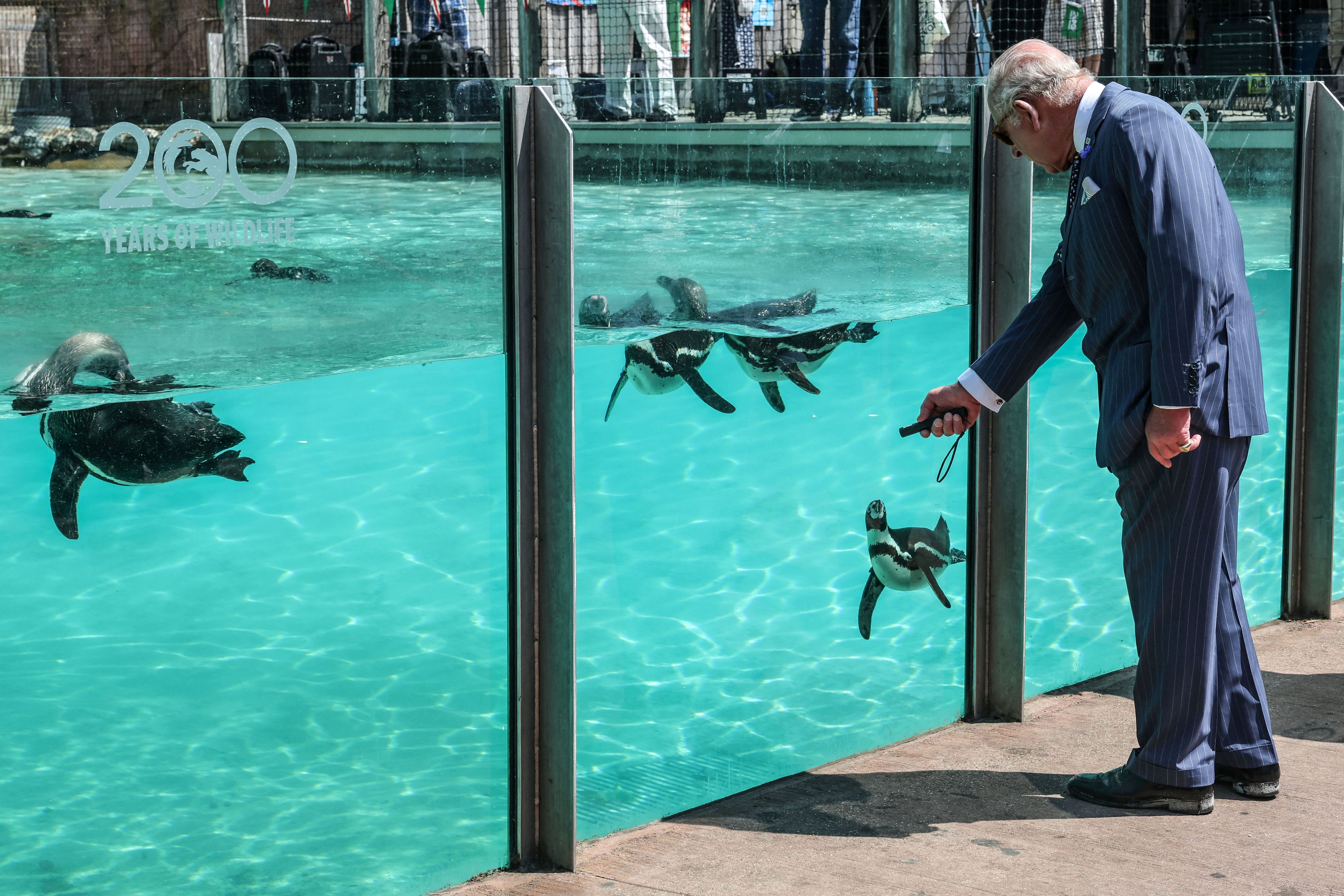 King Charles wears a suit to visit to ZSL London Zoo to celebrate the zoo's 200th anniversary in central London on July 9, 2026