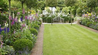 Green lawn surrounded by beds of foxgloves