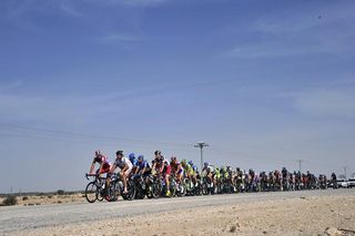 The Tour of Qatar peloton during stage 4.
