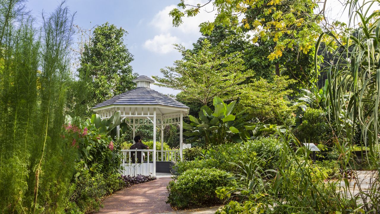 Man sitting in a white wooden pergola, surrounded by tropical plants in Hort Park