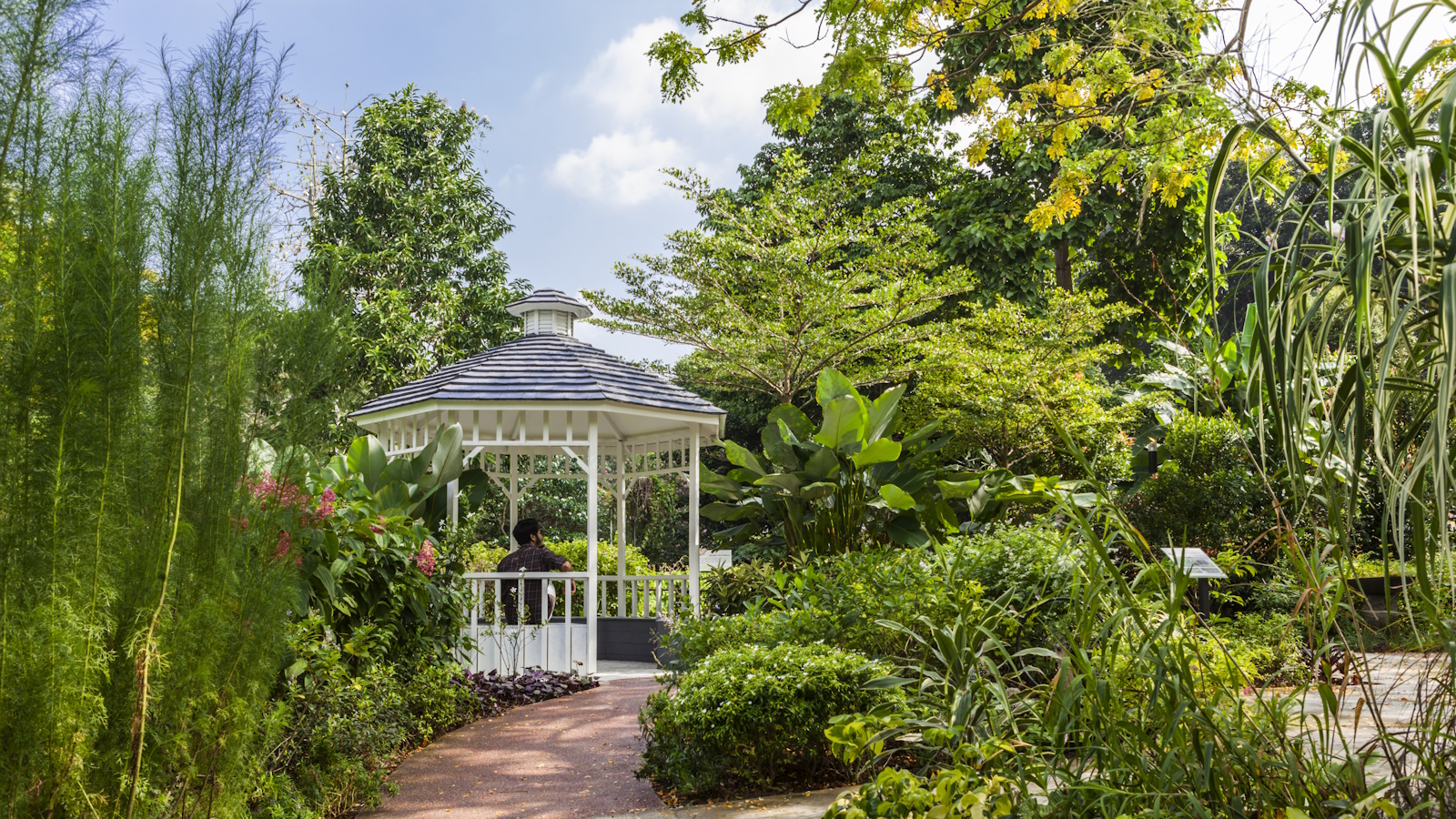 ‘I’ve seen an entirely different side to this city, and it’s wild’ – what Singapore can teach us about how to live in nature