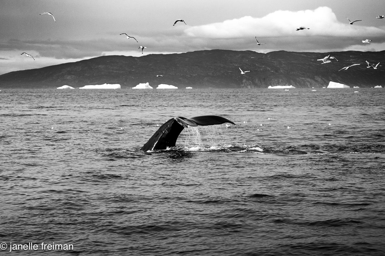 GuruShots - Powerful Black &amp; White