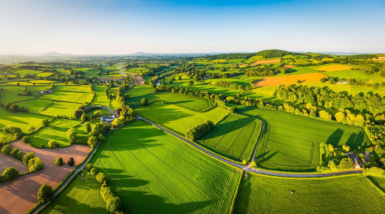 You&#039;d have guessed it anyway, but now it&#039;s been proven: Britain&#039;s green and pleasant land is the best place to source your green and pleasant food.