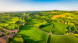 You'd have guessed it anyway, but now it's been proven: Britain's green and pleasant land is the best place to source your green and pleasant food.