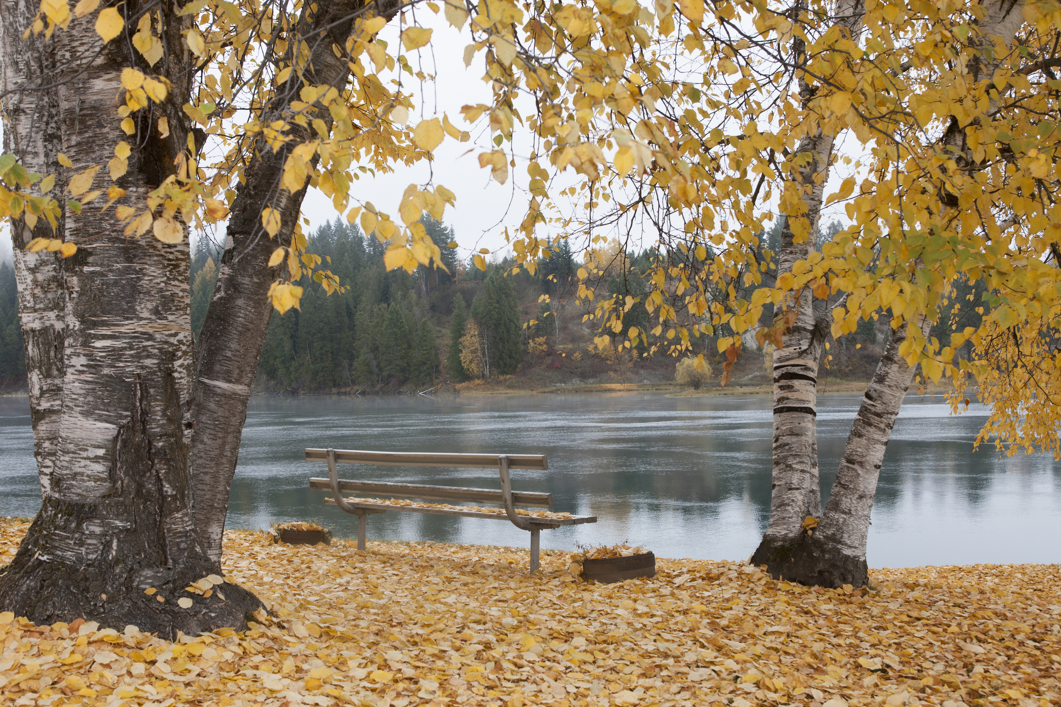 autumn foliage in a park near the Pend Oreille River