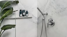 Shower with plant and products