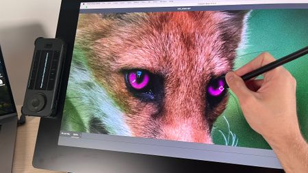 Hand using stylus to draw mask over the eyes of a fox on the Xencelabs Pen Display 24+ 