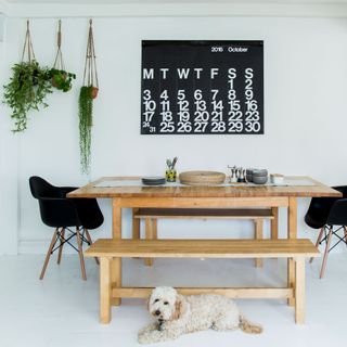 white dining room with wooden table, black chairs, houseplants and a black wall calendar