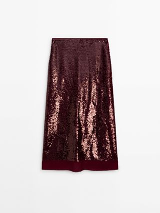 Midi Skirt With Sequins