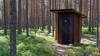 Public outhouse in forest