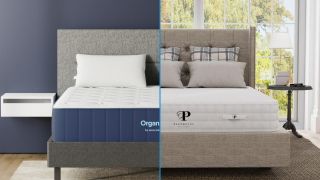 Organic vs natural mattress: the Amerisleep Organica shown on the left and the PlushBeds Natural Bliss shown on the right