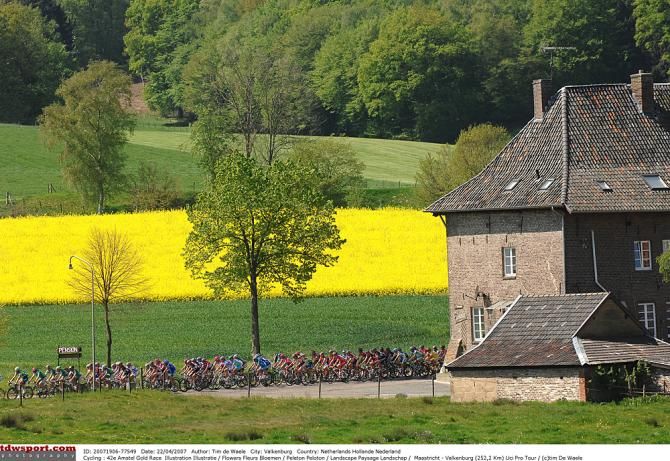 Spring flowers in full bloom at the 2007 Amstel Gold