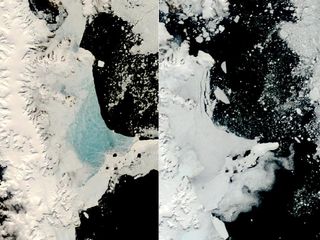 Changing Sea Ice Along Antarctic Peninsula