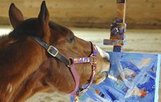 PAINTING-RACEHORSE.jpeg