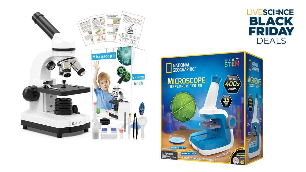 Discover the best microscopes for kids in 2024 - BBC Science Focus Magazine