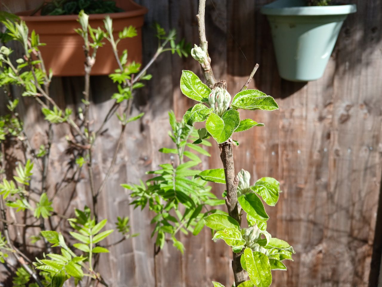 Samsung Galaxy XCover 7