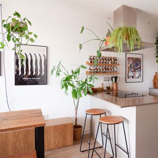 rental flat kitchen with stools