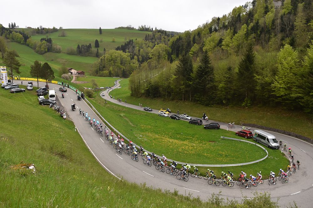 The pack rolls through the Swiss countryside.