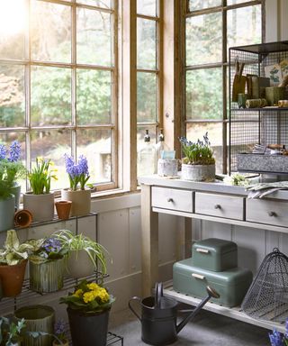 potting shed with storage unit