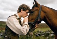 War Horse