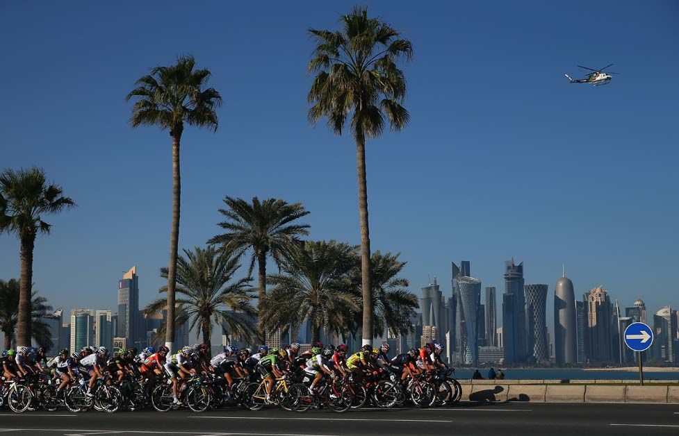 Palm trees line the road as the peloton whizzes by