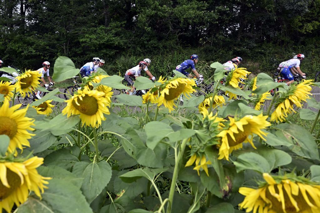 Illustration picture shows a sunflower field during the fourth stage of the Tour de France cycling race a 1818 km race from Dax to Nogaro France Tuesday 04 July 2023 This years Tour de France takes place from 01 to 23 July 2023 BELGA PHOTO DIRK WAEM Photo by DIRK WAEM BELGA MAG Belga via AFP Photo by DIRK WAEMBELGA MAGAFP via Getty Images