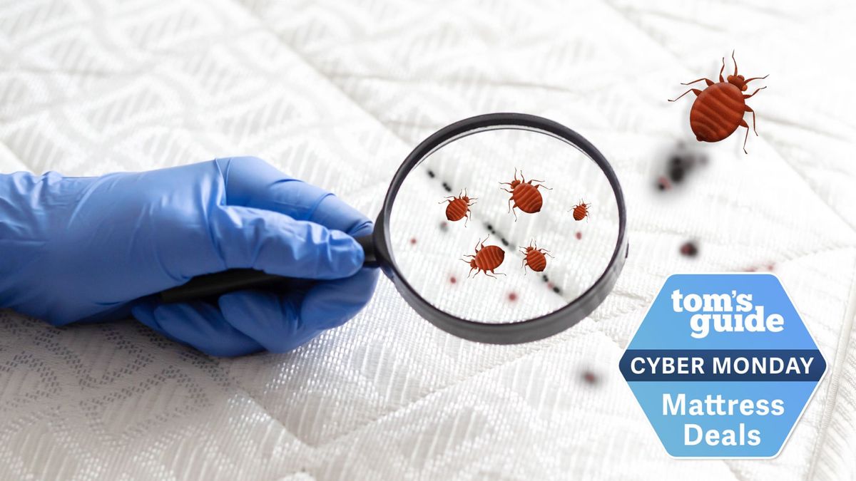 A gloved hand with a magnifying glass looking at drawing of bed bugs on a mattress