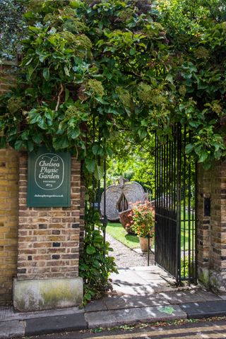 Chelsea Physic Garden