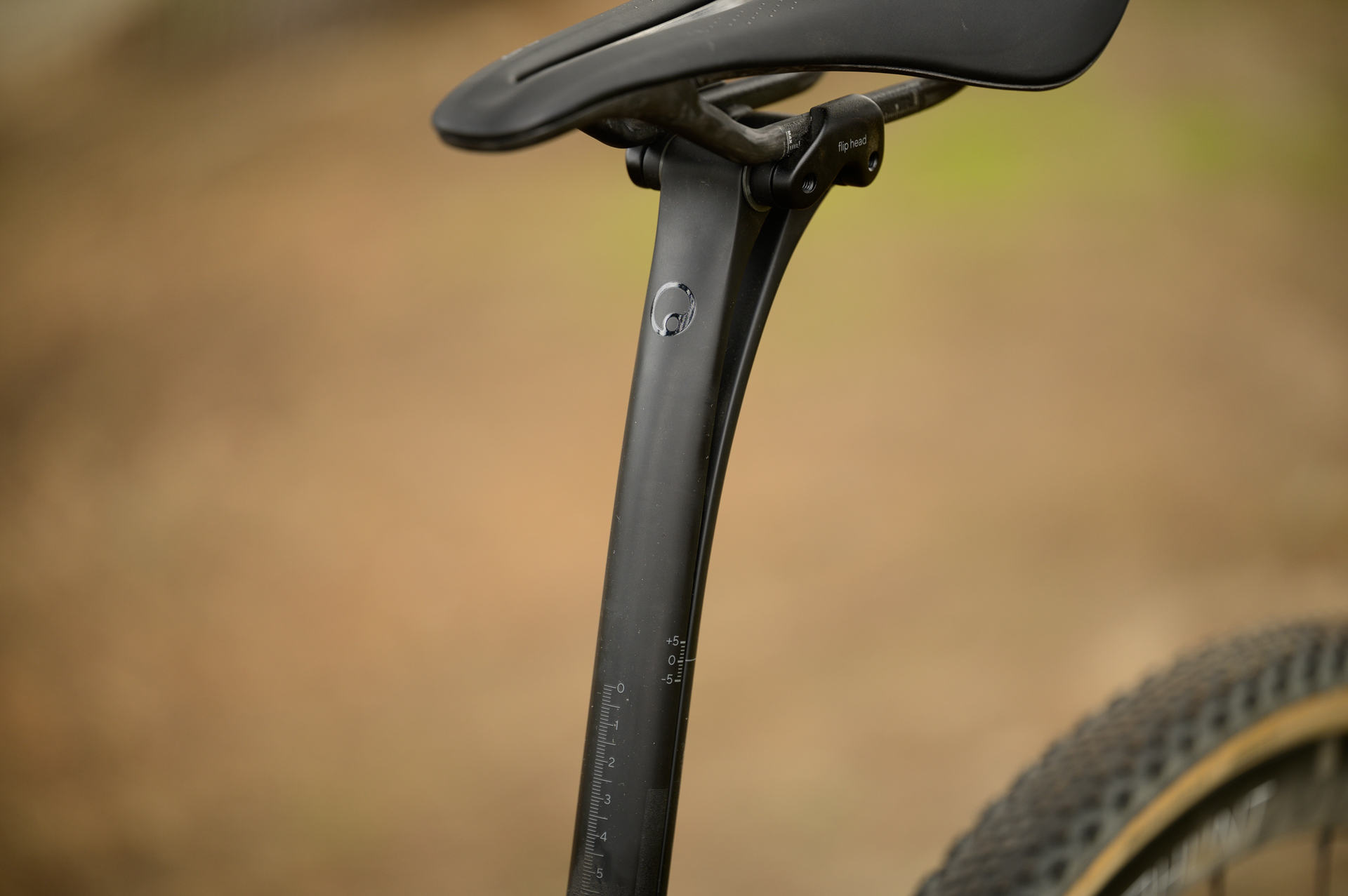 Salsa Warbird ergon carbon seatpost