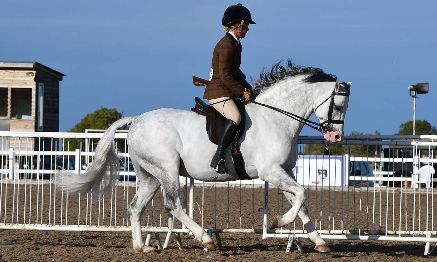 Heritage Show 16.10.2266711