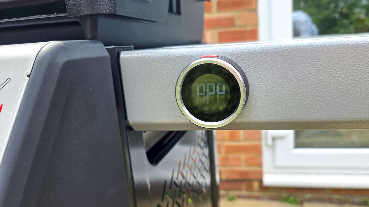 Weber Spirit EX325 grilling foods
